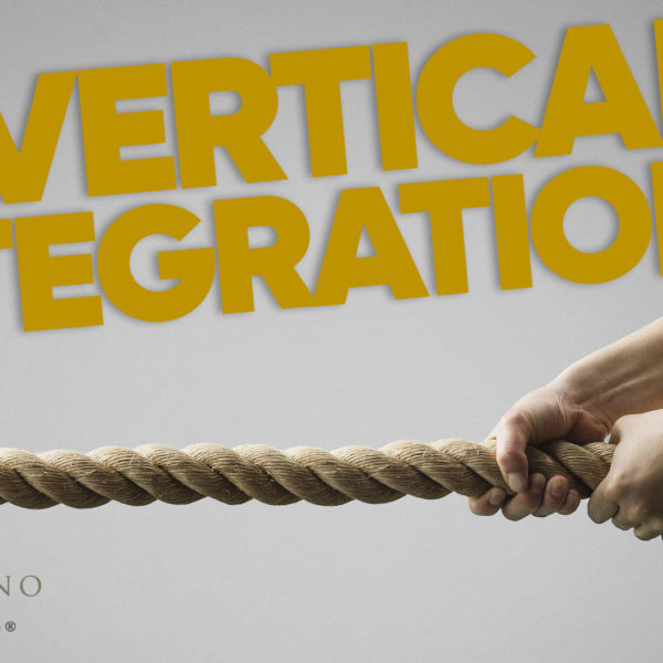 What is Vertical Integration in Multifamily Real Estate